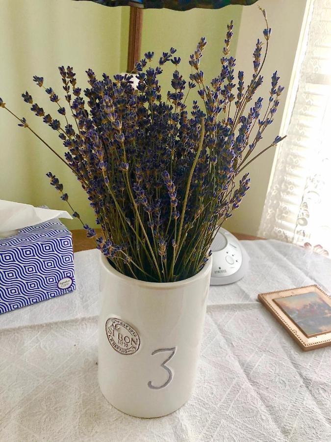 Starlight Pines Bed & Breakfast Флегстафф Екстер'єр фото